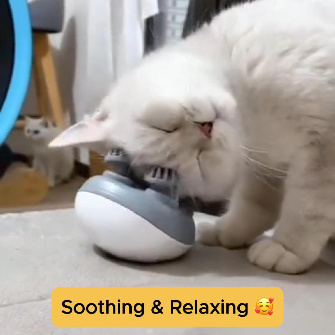 Pet Massager/Scrubber